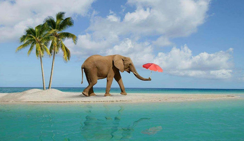 Elephant Beach, Andaman and Nicobar Islands, India